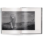 Книга Beusker. Look into my Eyes варинант исполнения - 1 | Loft Concept в Перми