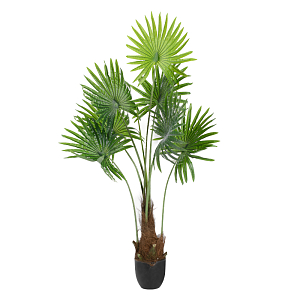 Декоративный искусственный цветок Livistona Plant 140