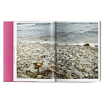 Книга Gisele Bundchen варинант исполнения - 9 | Loft Concept в Перми