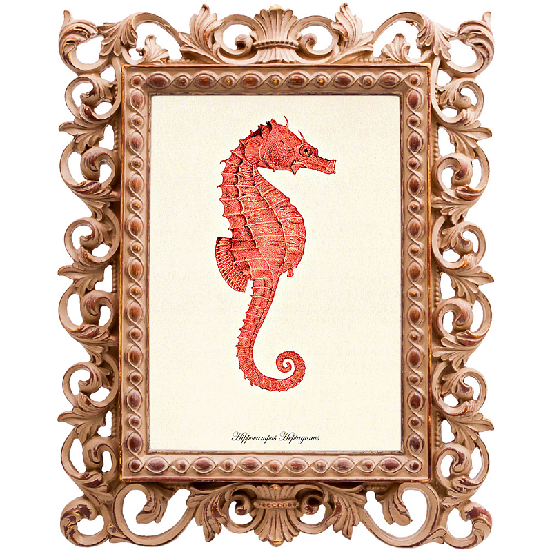 Постер Red Seahorse Poster Бежевый Красный Постер Red Seahorse Poster Бежевый Красный в Перми | Loft Concept
