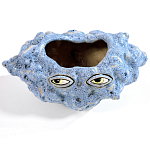 Чаша голубая Взгляд Cup Eye Opposite варинант исполнения - 2 | Loft Concept в Перми