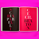 Коллекционный альбом Schiaparelli and the Artists варинант исполнения - 8 | Loft Concept в Перми