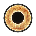 Бра круглое Gold Sun Lighting  варинант исполнения - 1 | Loft Concept в Перми