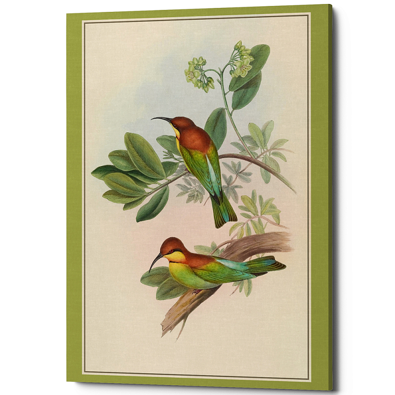 Постер на холсте с изображением птиц Blooming Birds Poster Бежевый Салатовый Мульти Постер на холсте с изображением птиц Blooming Birds Poster Бежевый Салатовый Мульти в Перми | Loft Concept