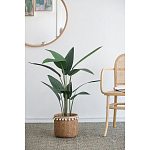 Декоративный искусственное растение Decor Stile  варинант исполнения - 5 | Loft Concept в Перми