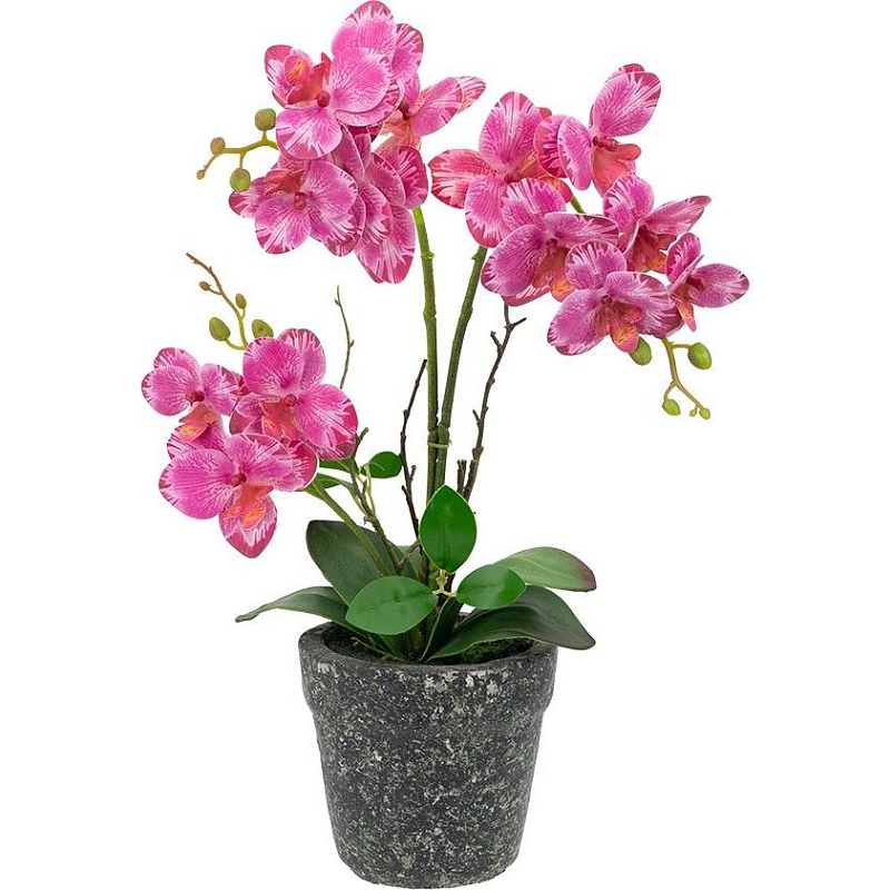 Декоративный искусственное растение Pink orchid Зеленый Черный Розовый Декоративный искусственное растение Pink orchid Зеленый Черный Розовый в Перми | Loft Concept